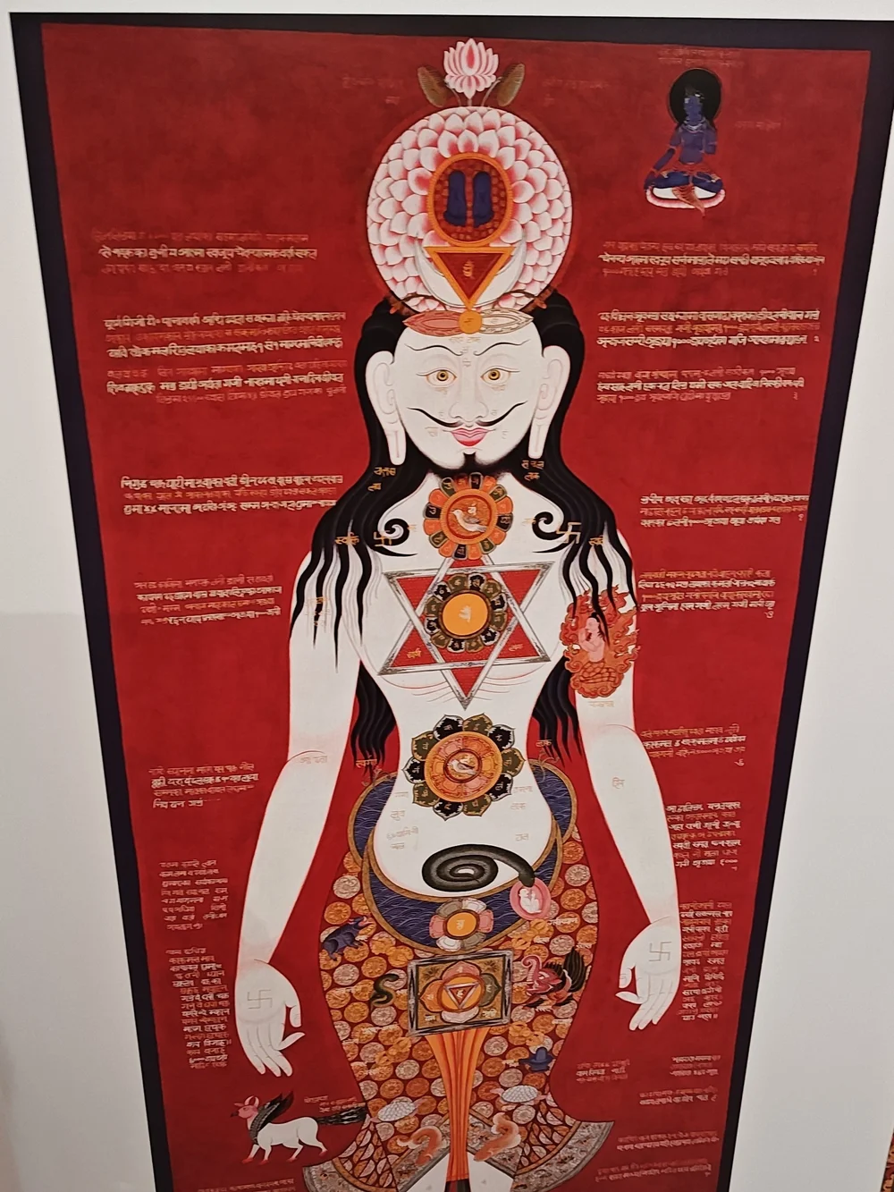 CELESTIAL GALLERY (24